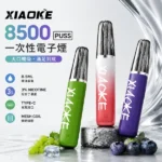 XIAOKE 梟客 8500口一次性電子煙 | 8.5mL油量 650mAh電池 Type-C快充 | 口紅外型輕巧便攜 20種特調口味 台灣現貨